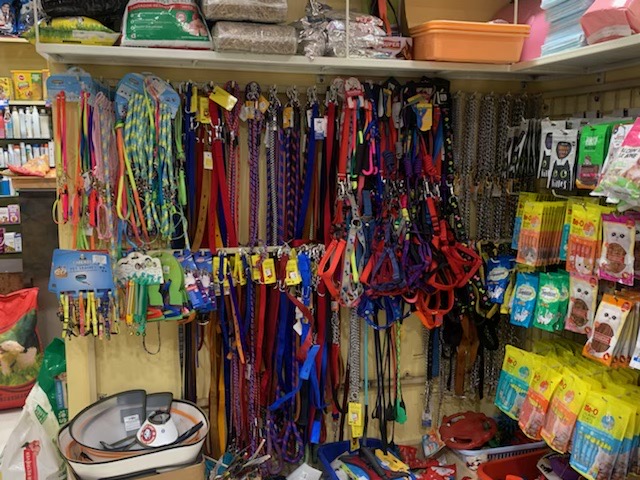 Wall of colourful collars, leashes and harnesses, with treats on the side.